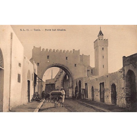 Rare collectable postcards of Tunisia. Vintage Postcards of Tunisia
