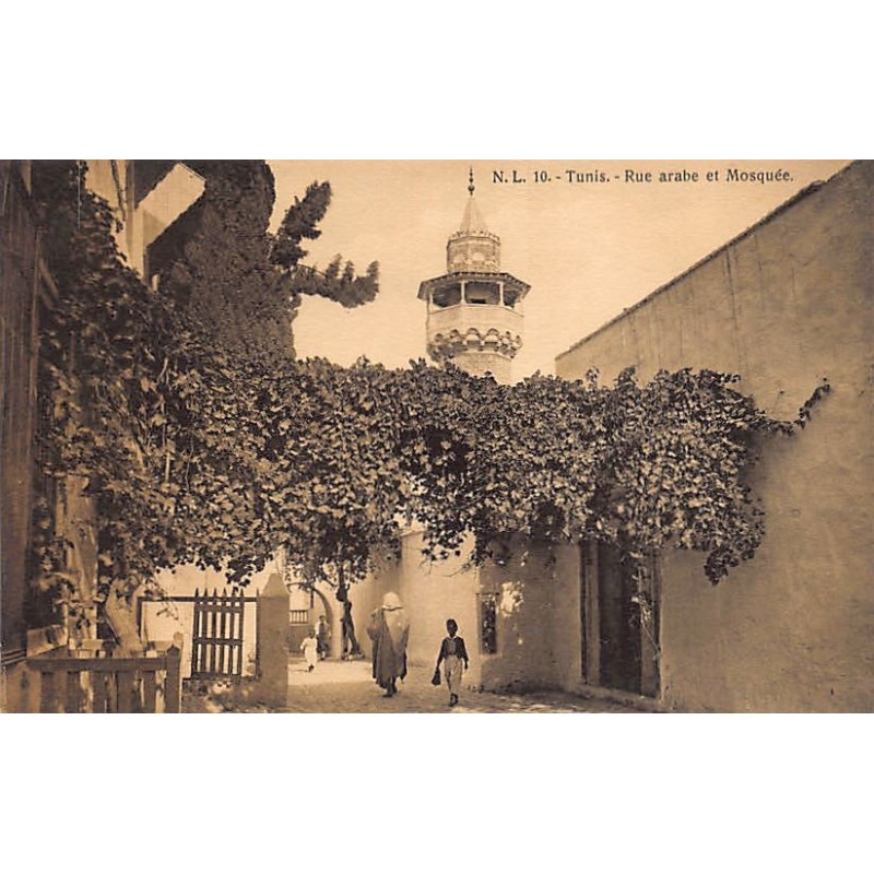 Rare collectable postcards of Tunisia. Vintage Postcards of Tunisia