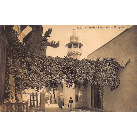 Rare collectable postcards of Tunisia. Vintage Postcards of Tunisia