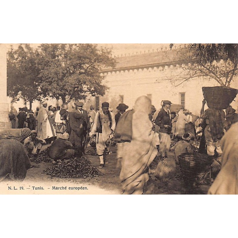 Rare collectable postcards of Tunisia. Vintage Postcards of Tunisia