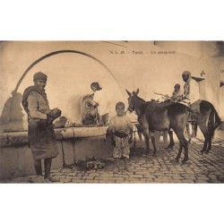 Rare collectable postcards of Tunisia. Vintage Postcards of Tunisia