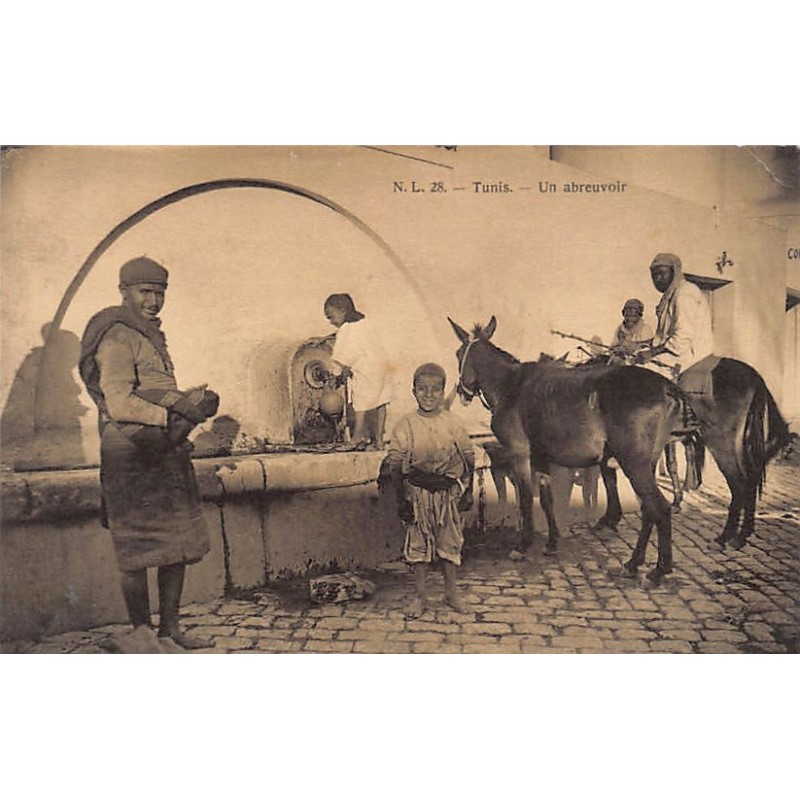 Rare collectable postcards of Tunisia. Vintage Postcards of Tunisia