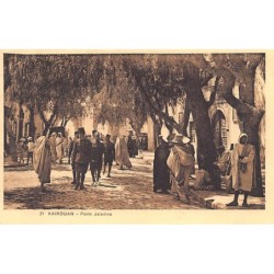 Rare collectable postcards of Tunisia. Vintage Postcards of Tunisia