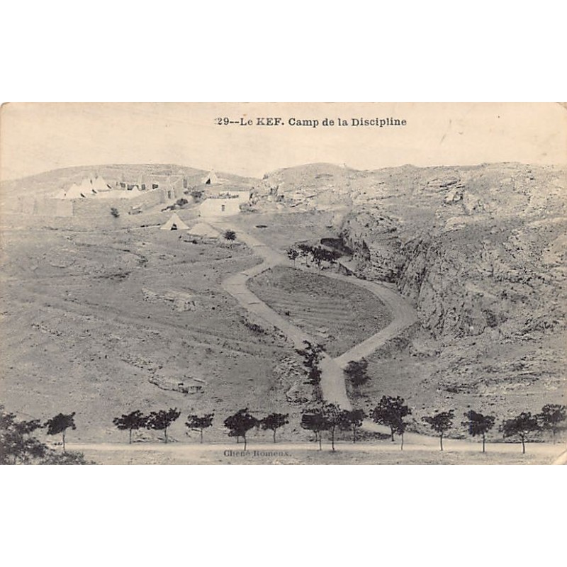 Rare collectable postcards of Tunisia. Vintage Postcards of Tunisia