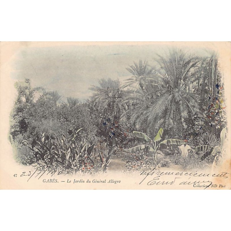 Rare collectable postcards of Tunisia. Vintage Postcards of Tunisia