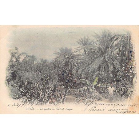 Rare collectable postcards of Tunisia. Vintage Postcards of Tunisia