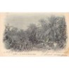 Rare collectable postcards of Tunisia. Vintage Postcards of Tunisia