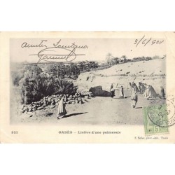 Rare collectable postcards of Tunisia. Vintage Postcards of Tunisia