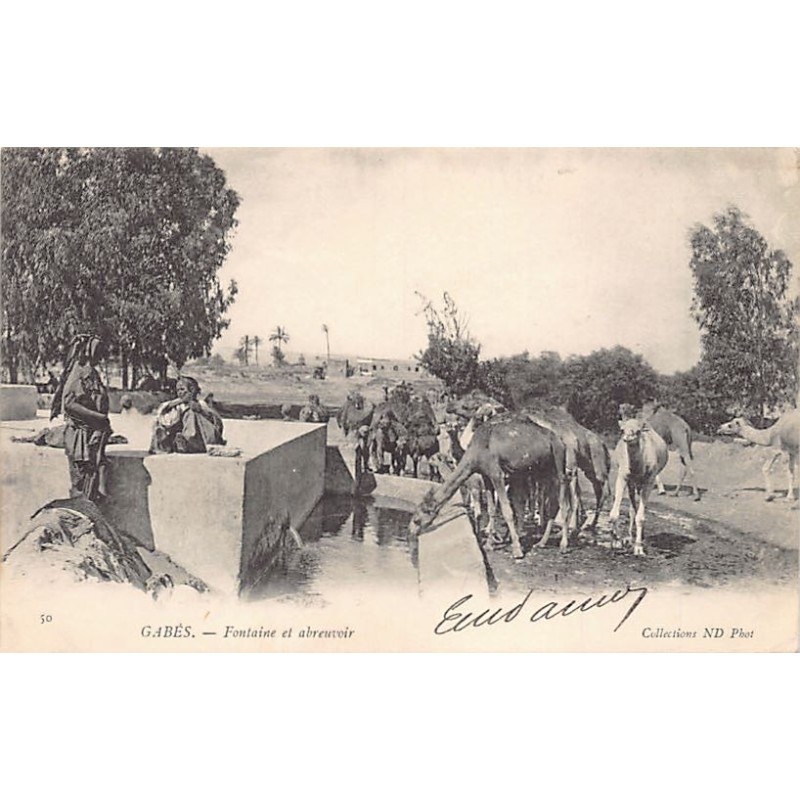 Rare collectable postcards of Tunisia. Vintage Postcards of Tunisia
