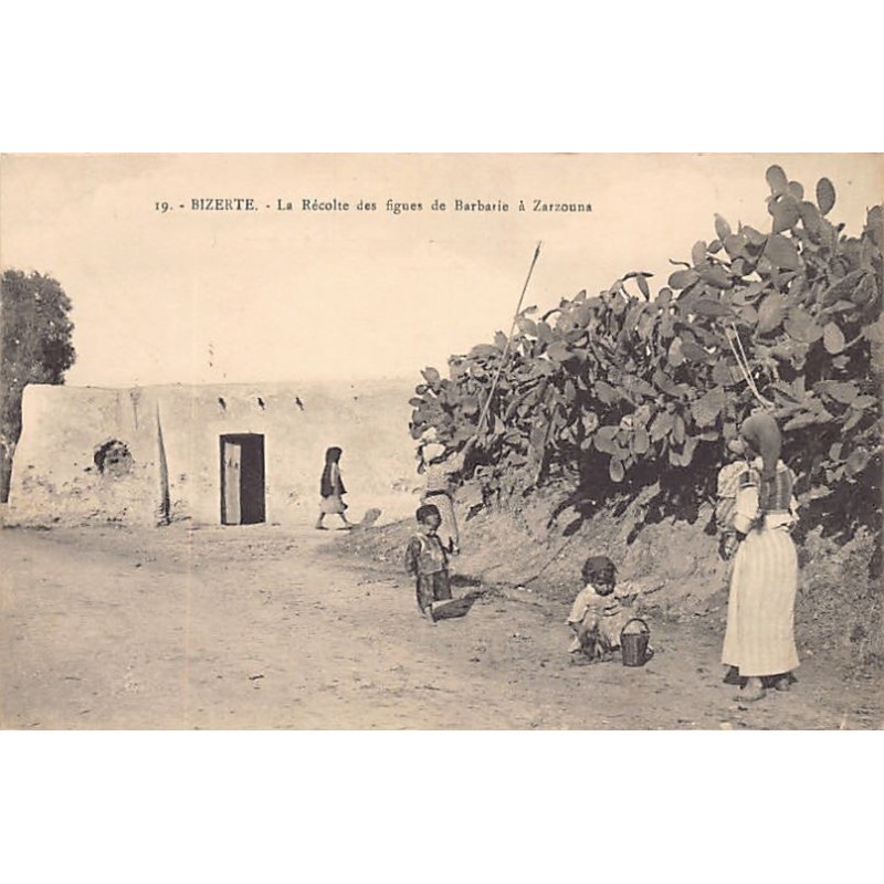 Rare collectable postcards of Tunisia. Vintage Postcards of Tunisia