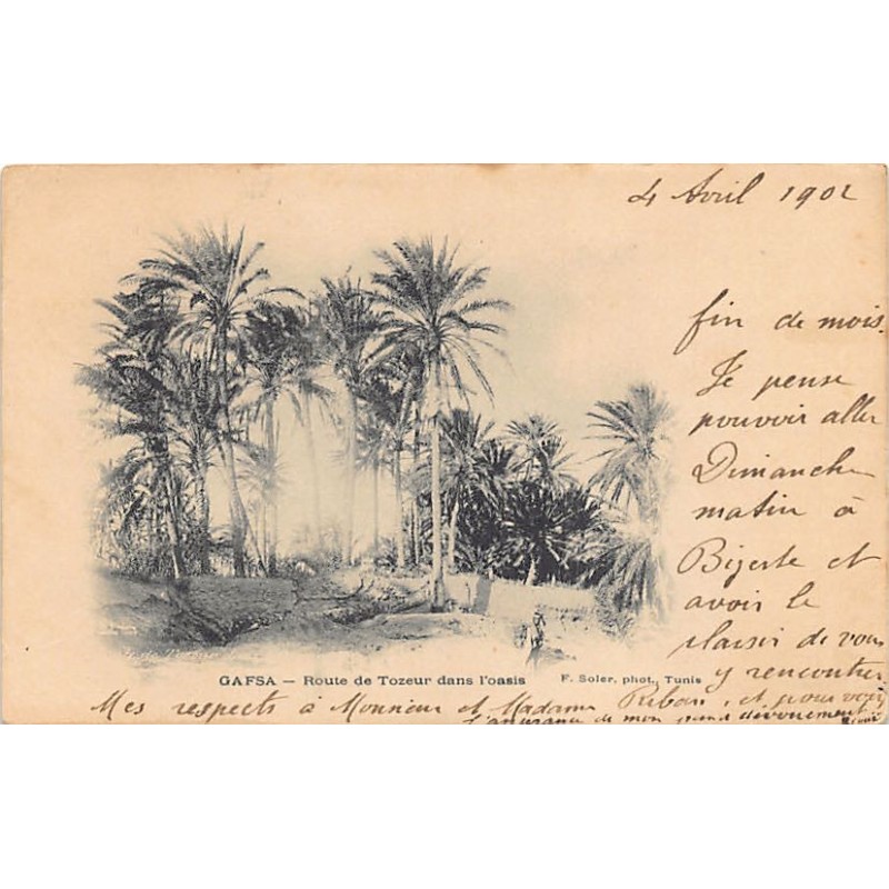 Rare collectable postcards of Tunisia. Vintage Postcards of Tunisia