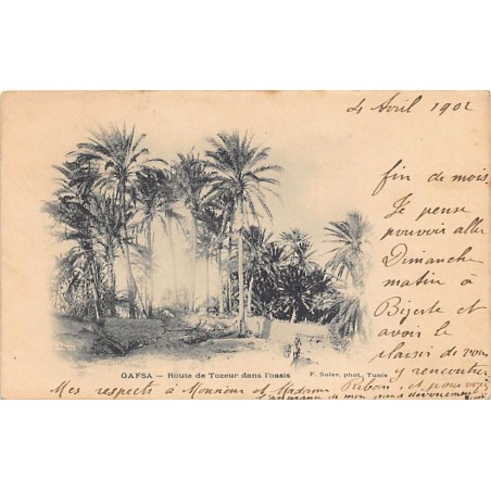 Rare collectable postcards of Tunisia. Vintage Postcards of Tunisia