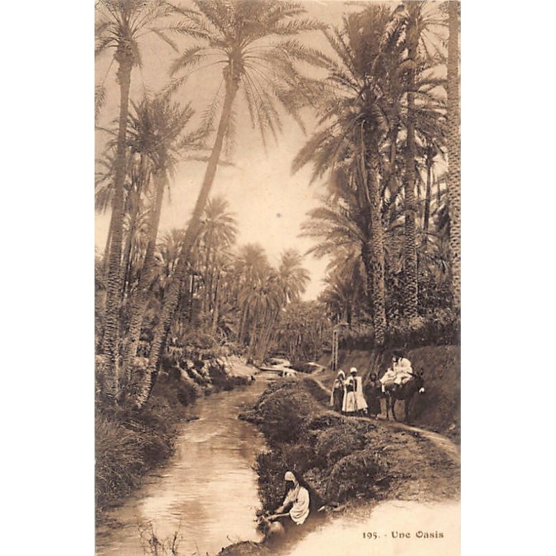 Rare collectable postcards of Tunisia. Vintage Postcards of Tunisia