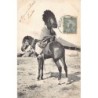 Rare collectable postcards of Tunisia. Vintage Postcards of Tunisia