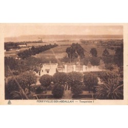Rare collectable postcards of Tunisia. Vintage Postcards of Tunisia