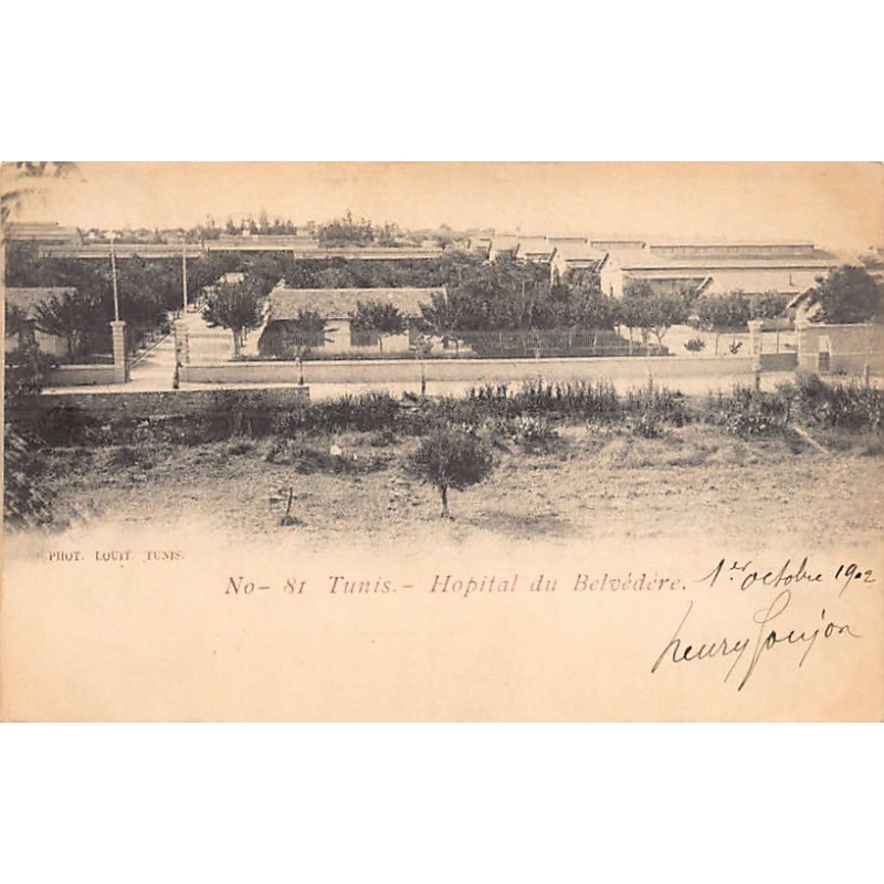 Rare collectable postcards of Tunisia. Vintage Postcards of Tunisia