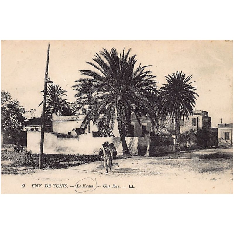 Rare collectable postcards of Tunisia. Vintage Postcards of Tunisia