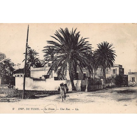 Rare collectable postcards of Tunisia. Vintage Postcards of Tunisia