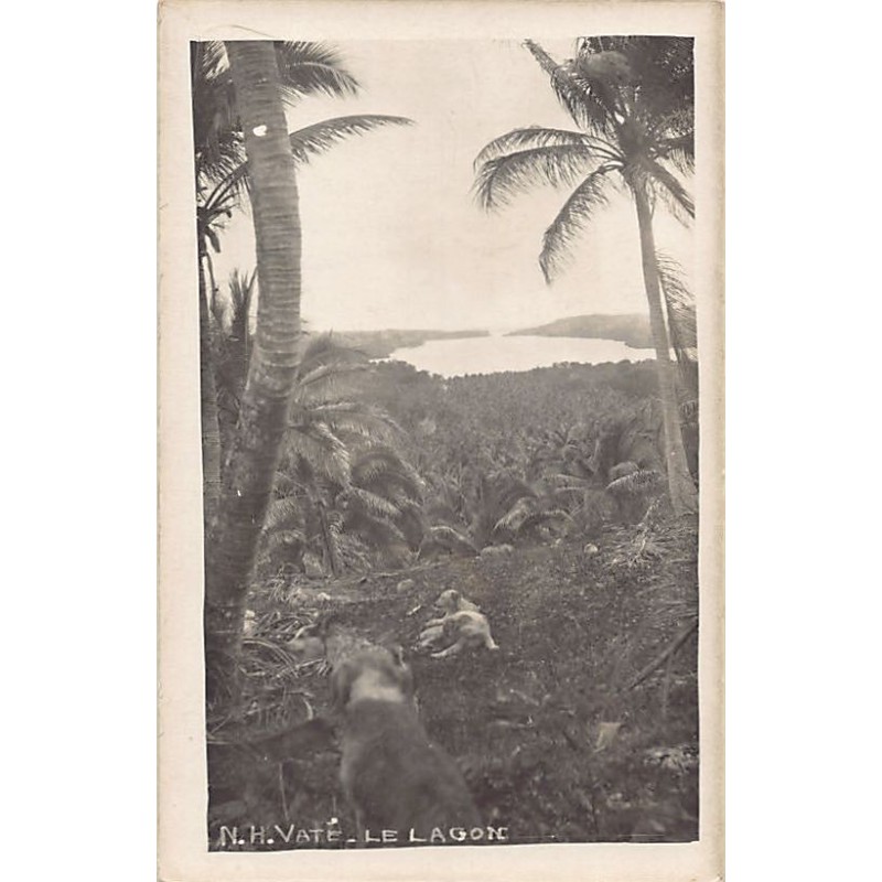 Rare collectable postcards of Vanuatu (New Hebrides). Vintage Postcards of Vanuatu (New Hebrides)