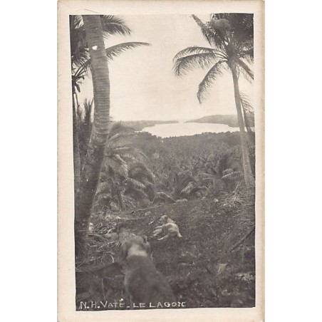 Rare collectable postcards of Vanuatu (New Hebrides). Vintage Postcards of Vanuatu (New Hebrides)