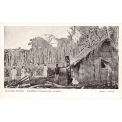 Rare collectable postcards of Vanuatu (New Hebrides). Vintage Postcards of Vanuatu (New Hebrides)