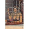 Rare collectable postcards of ETHNIC NUDE. Vintage Postcards of ETHNIC NUDE