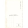 Rare collectable postcards of ETHNIC NUDE. Vintage Postcards of ETHNIC NUDE