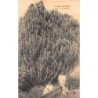 Rare collectable postcards of Congo - Brazzaville. Vintage Postcards of Congo - Brazzaville