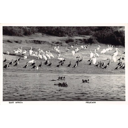 Rare collectable postcards of Kenya. Vintage Postcards of Kenya