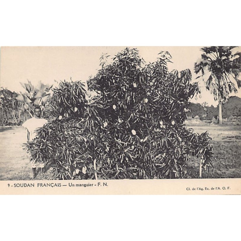 Rare collectable postcards of Mali. Vintage Postcards of Mali