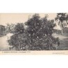 Rare collectable postcards of Mali. Vintage Postcards of Mali