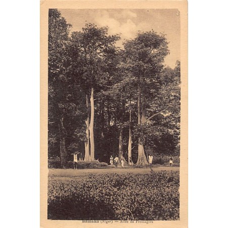 Rare collectable postcards of Mali. Vintage Postcards of Mali