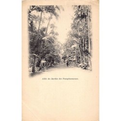 Rare collectable postcards of Mauritius. Vintage Postcards of Mauritius