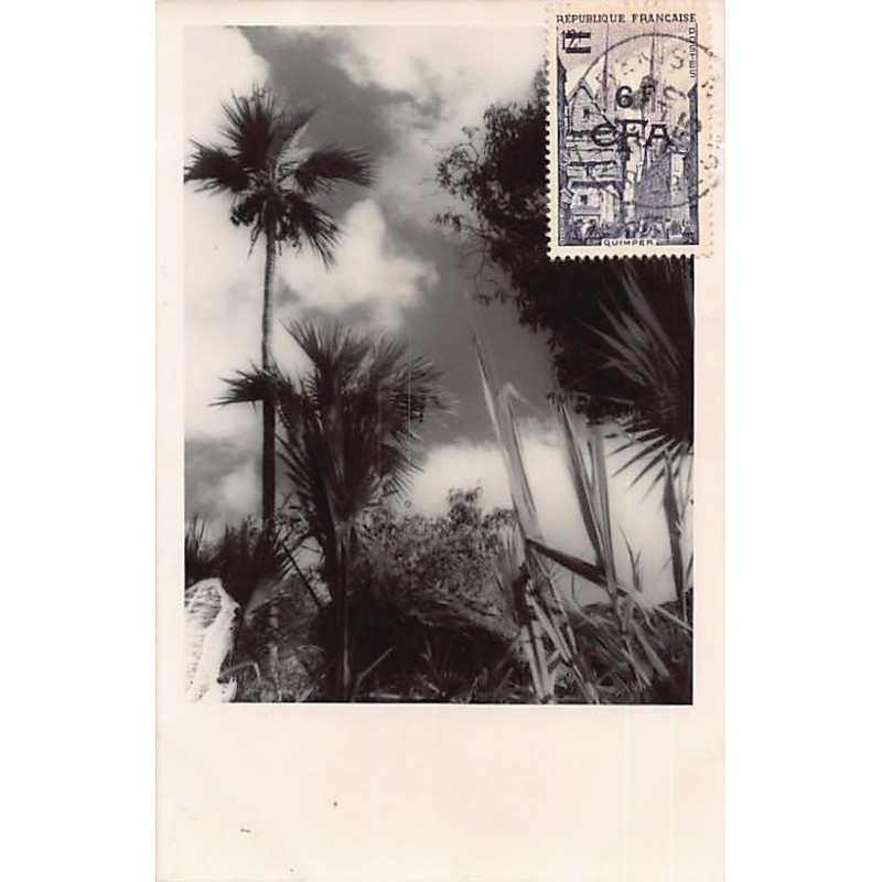 Rare collectable postcards of Réunion. Vintage Postcards of Réunion
