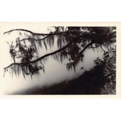 Rare collectable postcards of Réunion. Vintage Postcards of Réunion