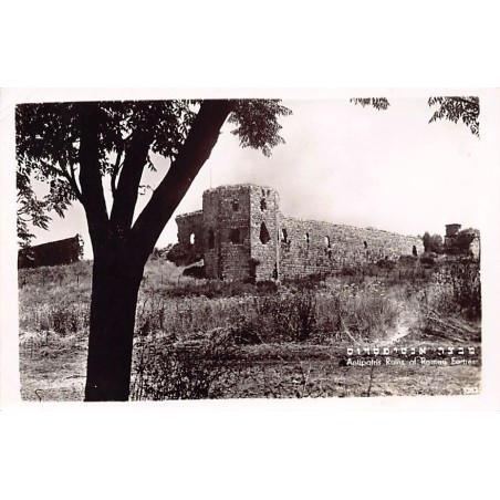 Rare collectable postcards of Israel / Palestine. Vintage Postcards of Israel / Palestine