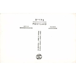 Rare collectable postcards of Israel / Palestine. Vintage Postcards of Israel / Palestine