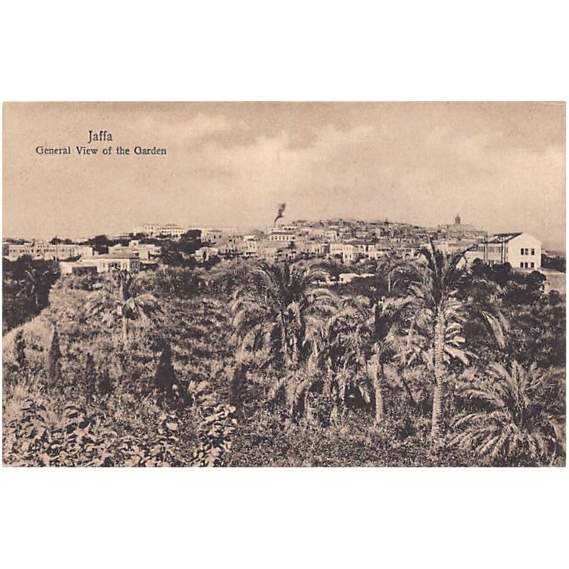 Rare collectable postcards of Israel / Palestine. Vintage Postcards of Israel / Palestine