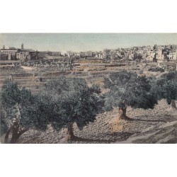 Rare collectable postcards of Israel / Palestine. Vintage Postcards of Israel / Palestine