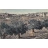 Rare collectable postcards of Israel / Palestine. Vintage Postcards of Israel / Palestine