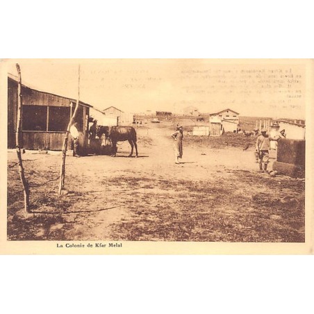 Rare collectable postcards of Israel / Palestine. Vintage Postcards of Israel / Palestine