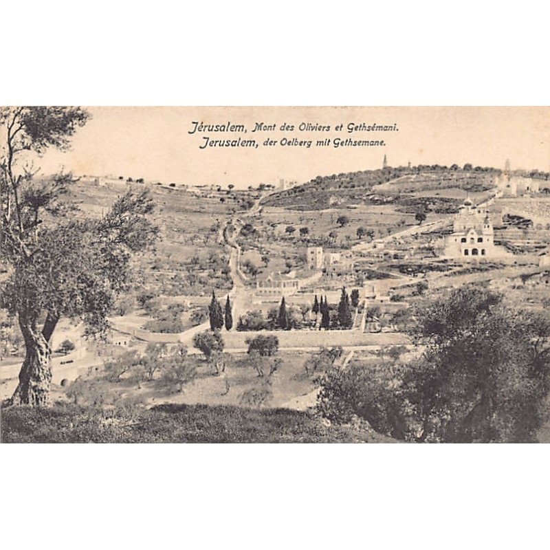 Rare collectable postcards of Israel / Palestine. Vintage Postcards of Israel / Palestine