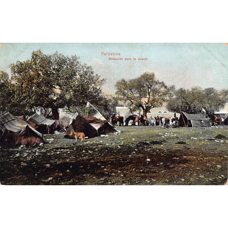 Rare collectable postcards of Israel / Palestine. Vintage Postcards of Israel / Palestine