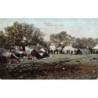 Rare collectable postcards of Israel / Palestine. Vintage Postcards of Israel / Palestine