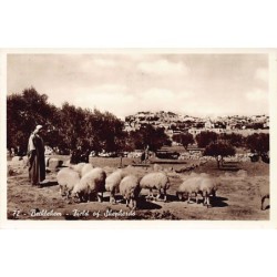 Rare collectable postcards of Israel / Palestine. Vintage Postcards of Israel / Palestine