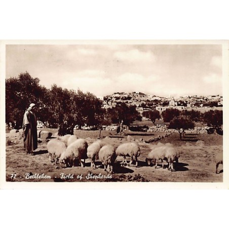 Rare collectable postcards of Israel / Palestine. Vintage Postcards of Israel / Palestine