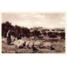 Rare collectable postcards of Israel / Palestine. Vintage Postcards of Israel / Palestine