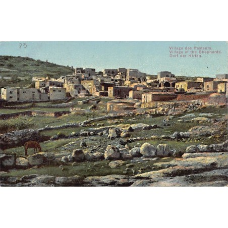 Rare collectable postcards of Israel / Palestine. Vintage Postcards of Israel / Palestine