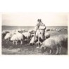 Rare collectable postcards of Israel / Palestine. Vintage Postcards of Israel / Palestine