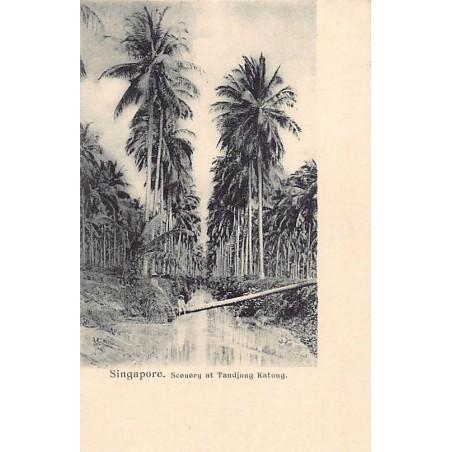Rare collectable postcards of Singapore. Vintage Postcards of Singapore